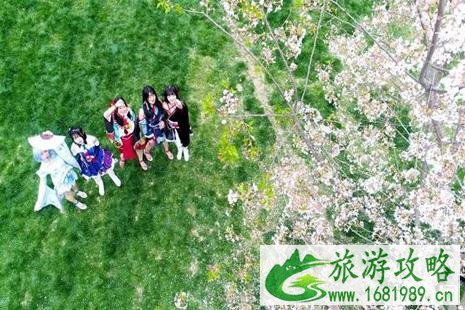 2022朝天吼动漫樱花节活动攻略