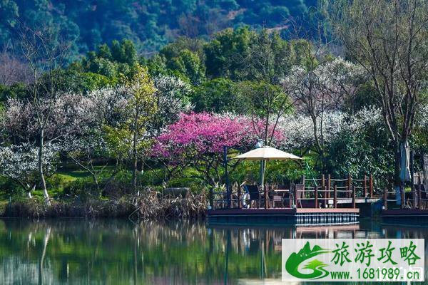 苏州有哪些赏花的地方 苏州有哪些赏花的地方