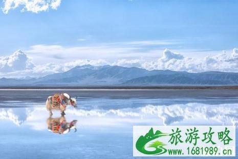 茶卡盐湖开放时间2022+游玩攻略 茶卡盐湖开放时间2022+游玩攻略