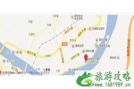 2022赣县樱花节3月开启 附加交通指南+防堵攻略