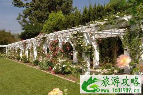 2022洛杉矶樱花观赏攻略