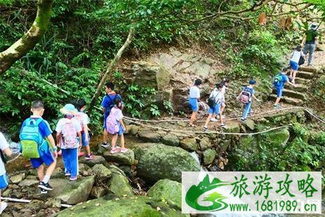 2022深圳梧桐山第四届毛棉杜鹃花会 附活动时间安排 2022深圳梧桐山第四届毛棉杜鹃花会 附活动时间安排