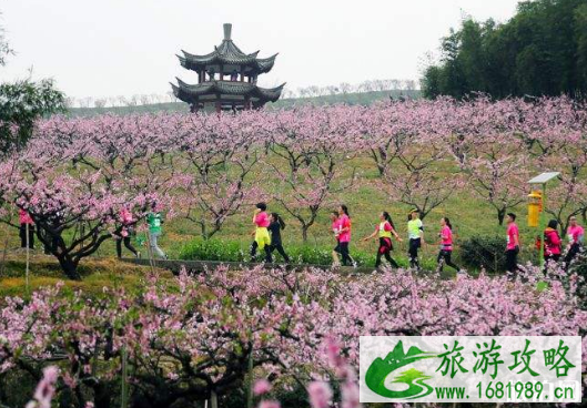 2022奉化桃花马拉松时间+地址+物资装备领取时间