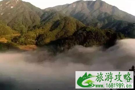 2022泰顺春游攻略
