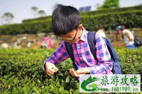 2022枹罕山庄梨花节时间+地点+活动攻略