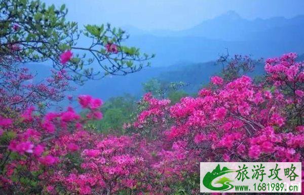 金寨自驾游线路