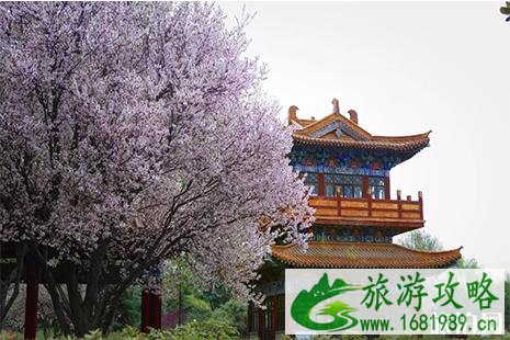 中国国花园门票 中国国花园花期信息 中国国花园门票 中国国花园花期信息