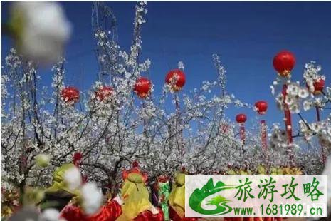 2022隰县梨花节在什么时间+交通+介绍