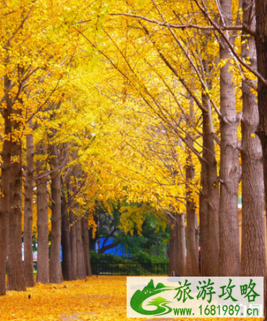 北京最佳游玩时间 去北京穿什么衣服 北京最佳游玩时间 去北京穿什么衣服