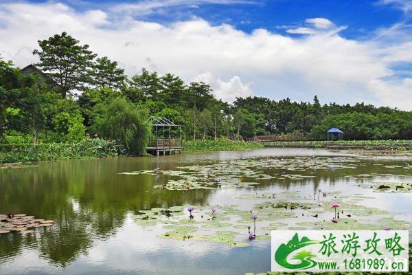 2022年儿童节期间广州有什么好玩的地方推荐 2022年儿童节期间广州有什么好玩的地方推荐