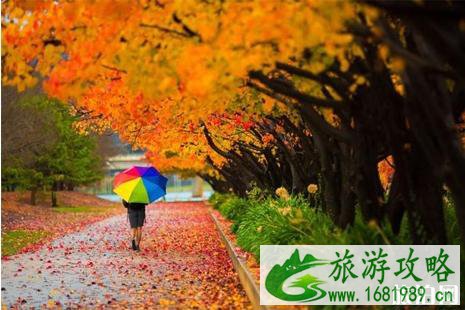 四月澳大利亚季节 四月澳大利亚旅游攻略