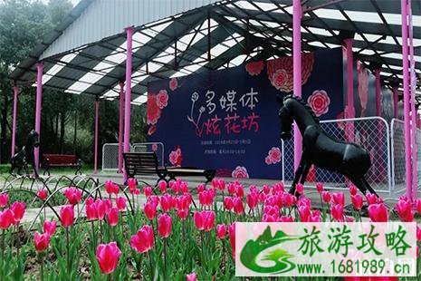 2022江苏常熟尚湖牡丹花会活动攻略 2022江苏常熟尚湖牡丹花会活动攻略