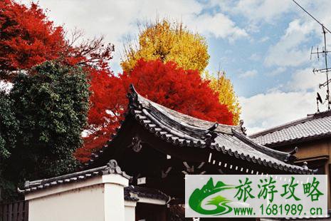 日本地震几月份比较多 在日本旅游遇到地震怎么办