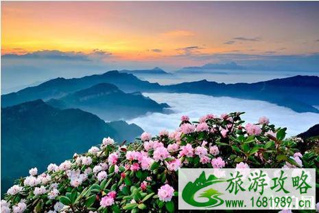2022年四月哪里看花好