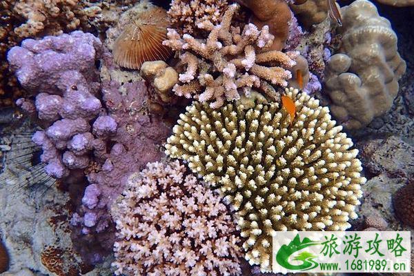 2022泰国海岛游哪个海岛好 2022泰国海岛游哪个海岛好