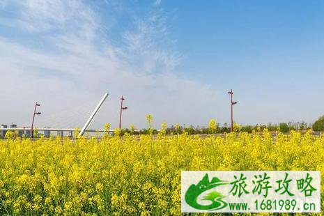 2022年4月南京赏花的地方推荐
