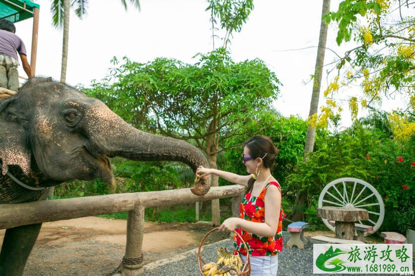 苏梅岛普吉岛哪个好玩 甲米岛和普吉岛哪个好 苏梅岛普吉岛哪个好玩 甲米岛和普吉岛哪个好