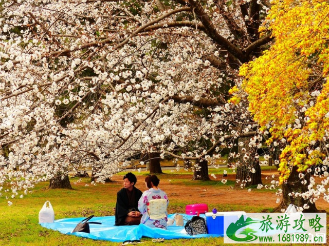 日本旅游最佳时间几月 日本的消费高吗 日本旅游最佳时间几月 日本的消费高吗