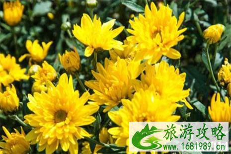 2022南宁清明节扫墓专线信息 2022南宁清明节扫墓专线信息