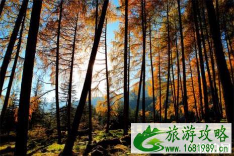 2022五一适合去哪里旅游 2022五一适合去哪里旅游