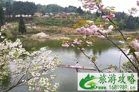 2022都匀百鸟湖休闲观光园门票多少钱