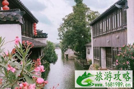 清明踏青去哪