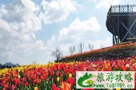 2022乌当羊昌花画小镇要门票吗 附近期花展信息