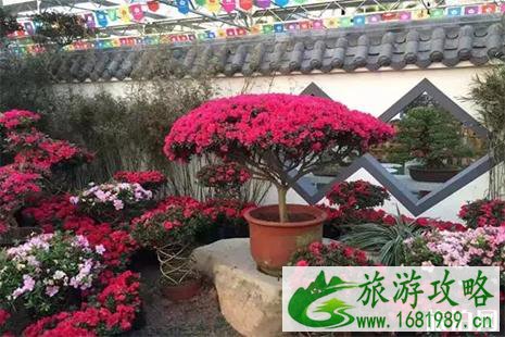 2022乌当羊昌花画小镇要门票吗 附近期花展信息