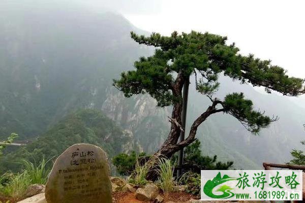 4月最适合去哪里旅游 4月最适合去哪里旅游