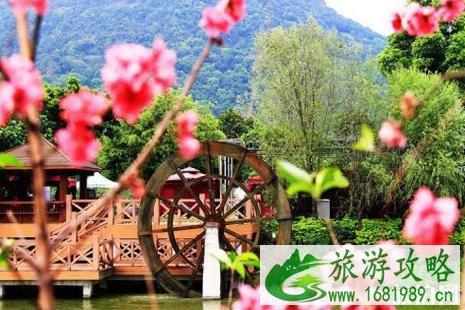 2022广东清明节旅游好去处推荐 2022广东清明节旅游好去处推荐