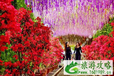 2022广东清明节旅游好去处推荐 2022广东清明节旅游好去处推荐