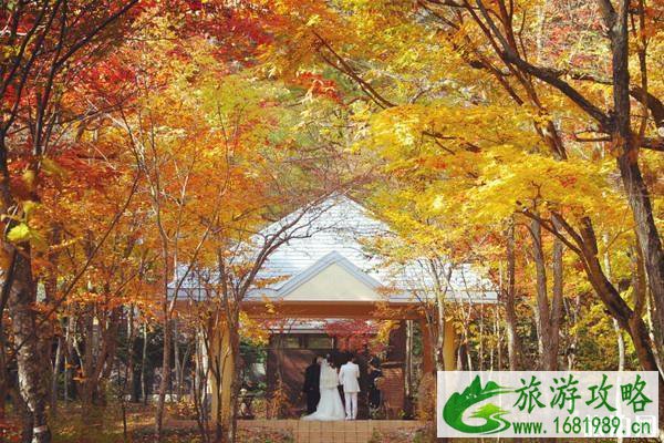 2022年五一去日本哪里旅游好 2022年五一去日本哪里旅游好