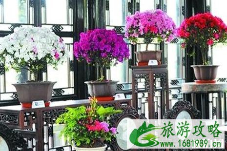2022拙政园杜鹃花节活动攻略 2022拙政园杜鹃花节活动攻略