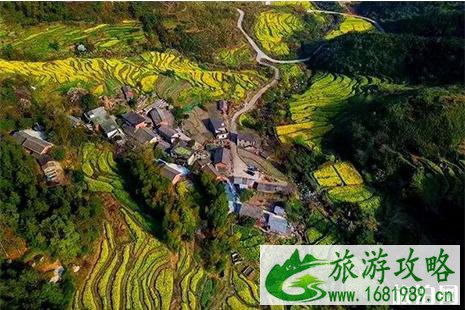 2022湾里牛岭千古情汉文化旅游节3月30日开启 2022湾里牛岭千古情汉文化旅游节3月30日开启