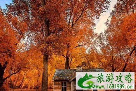 四月新西兰什么季节 四月新西兰有什么好玩的 四月新西兰什么季节 四月新西兰有什么好玩的