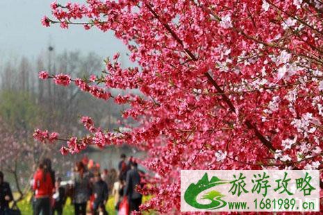 2022三十岗桃花节地址+门票+时间+交通 2022三十岗桃花节怎么样