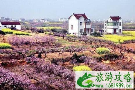 2022三十岗桃花节地址+门票+时间+交通 2022三十岗桃花节怎么样