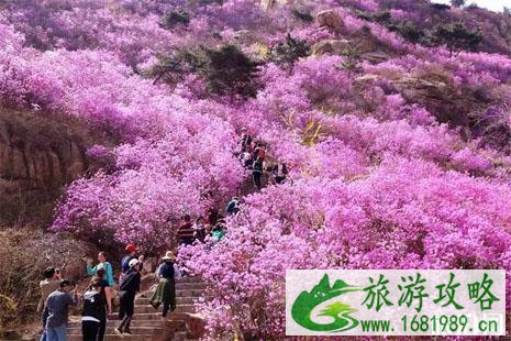 2022大珠山杜鹃花会门票多少钱+活动攻略