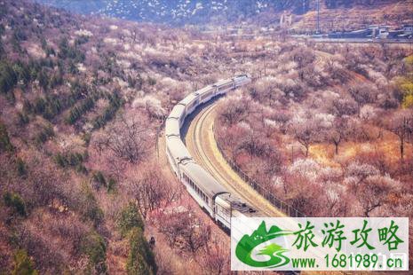 居庸关花海火车怎么坐 居庸关花海火车拍摄地点推荐