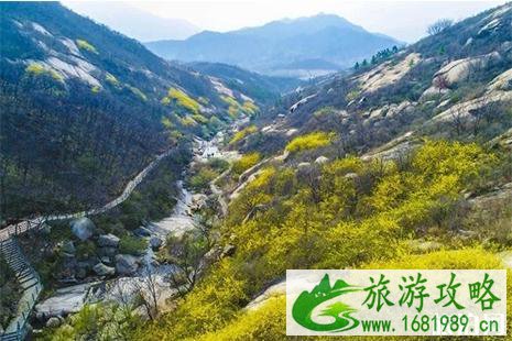 2022方城牡丹花节4月4日至20日开启