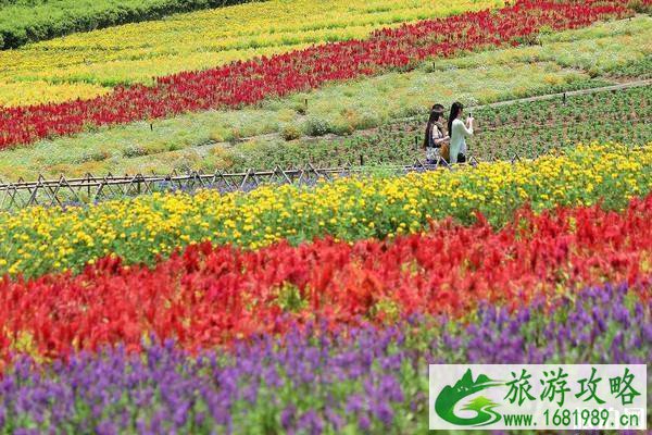 深圳华侨城二日游攻略 深圳华侨城二日游攻略