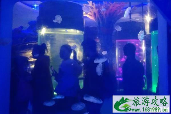 深圳华侨城二日游攻略 深圳华侨城二日游攻略