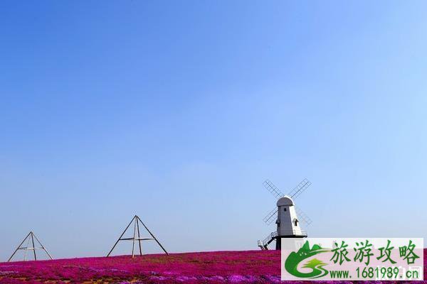 江夏薰香悦花卉世界游玩攻略 江夏薰香悦花卉世界游玩攻略
