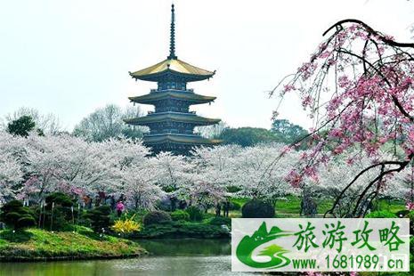 2022东湖樱花节便民交通指南 2022东湖樱花节便民交通指南