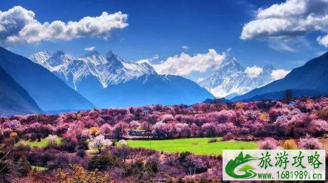 3-4月最适合旅游的地方 3-4月最适合旅游的地方