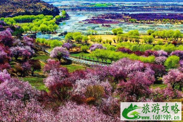 3-4月最适合旅游的地方 3-4月最适合旅游的地方