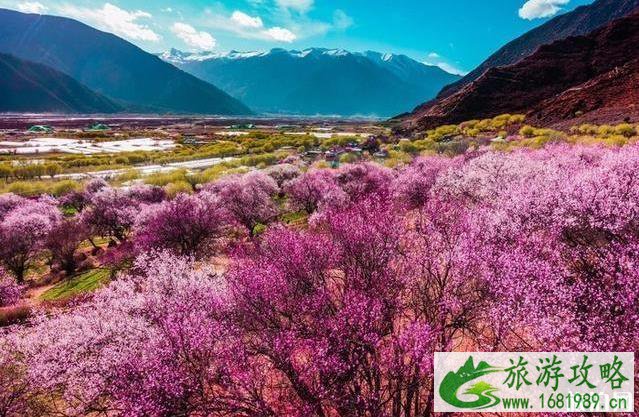 3-4月最适合旅游的地方 3-4月最适合旅游的地方