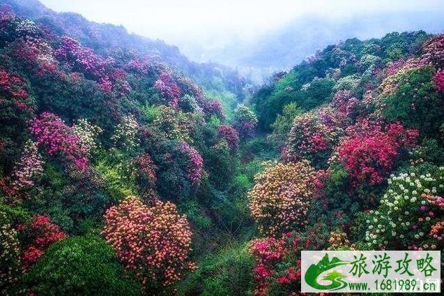 3-4月最适合旅游的地方 3-4月最适合旅游的地方