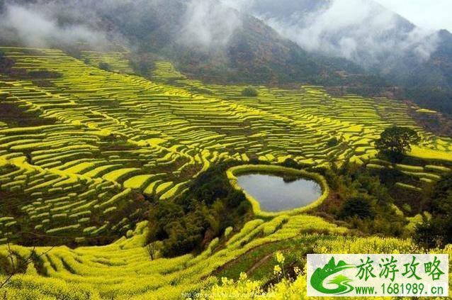 3-4月最适合旅游的地方 3-4月最适合旅游的地方