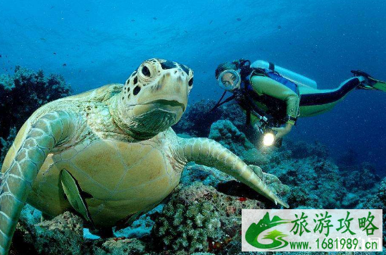 o潜水证有什么用 国内哪里适合o考证 o潜水证有什么用 国内哪里适合o考证